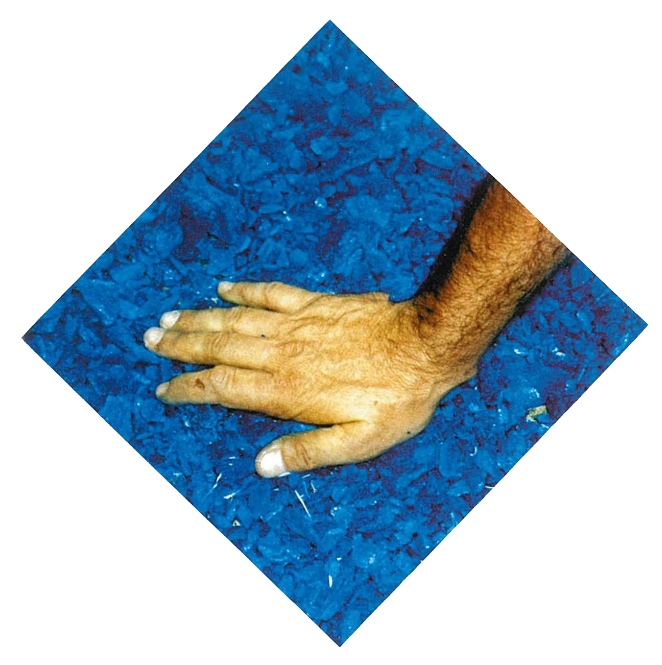 Giancarlo Gelsomino mano, per la esposizione La Fronda di Golia, 2004
